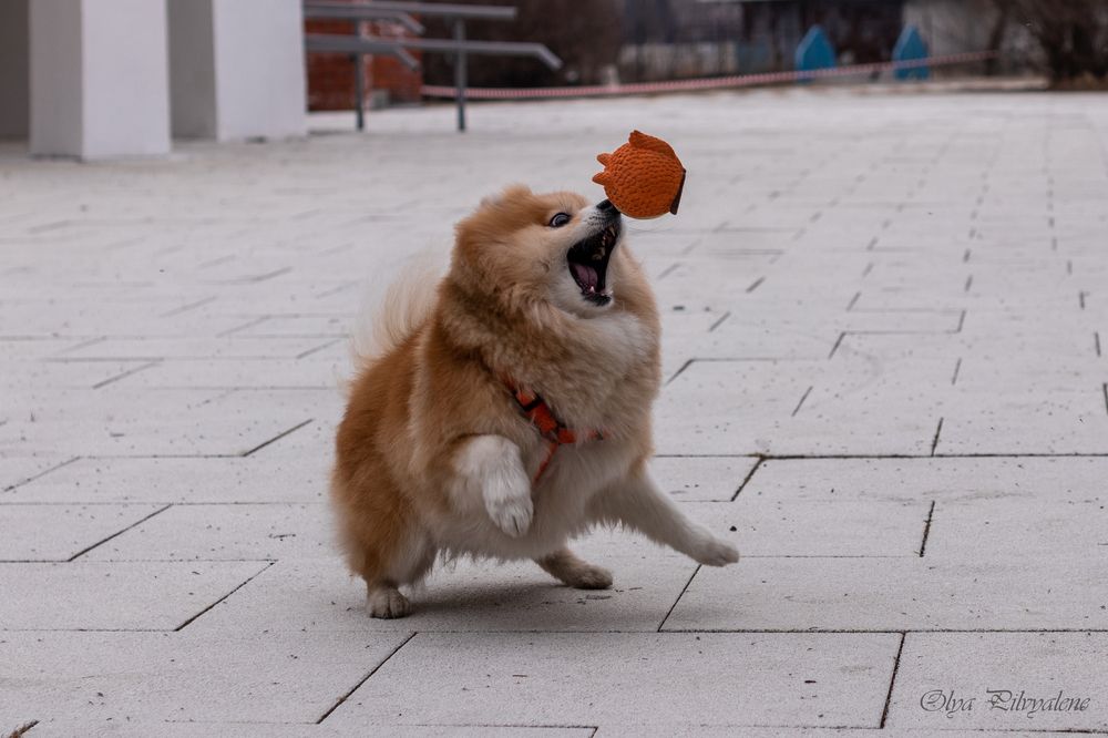 Photograph by Оля Пильвялене