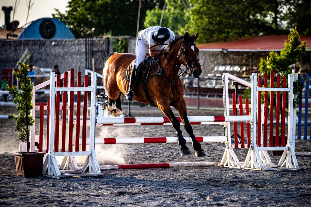 Photograph by amir ali navadeh shahla