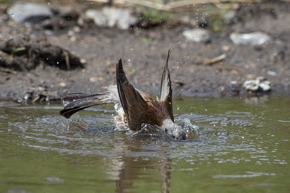 Photograph by Михаил Зубарев