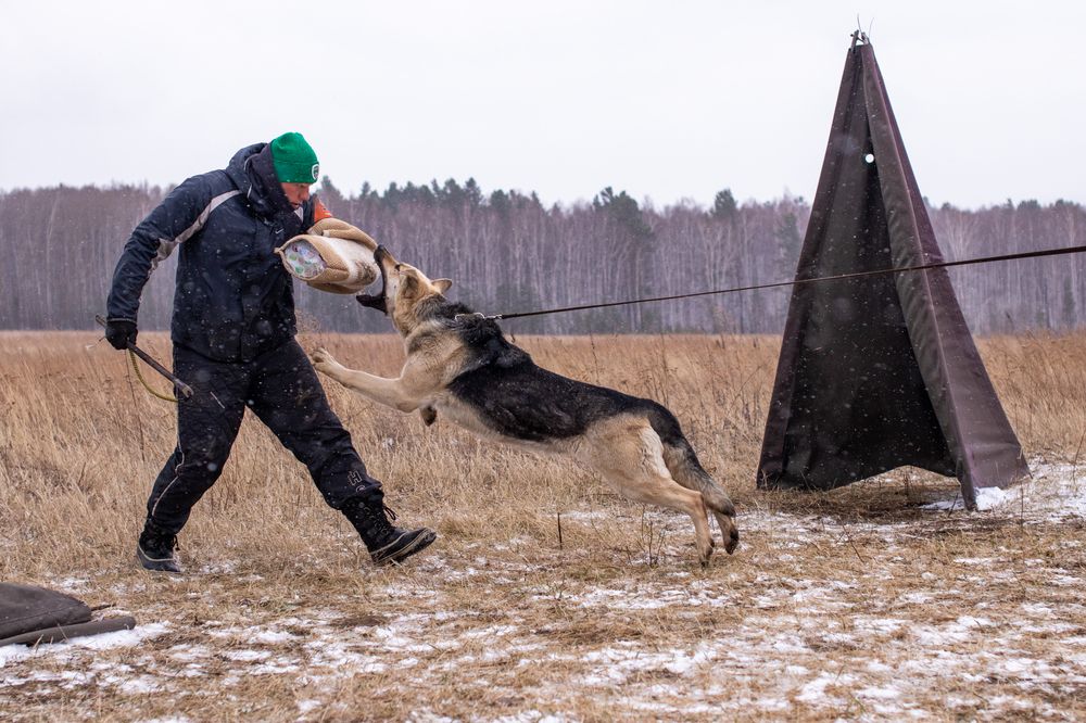 Photograph by Оля Пильвялене