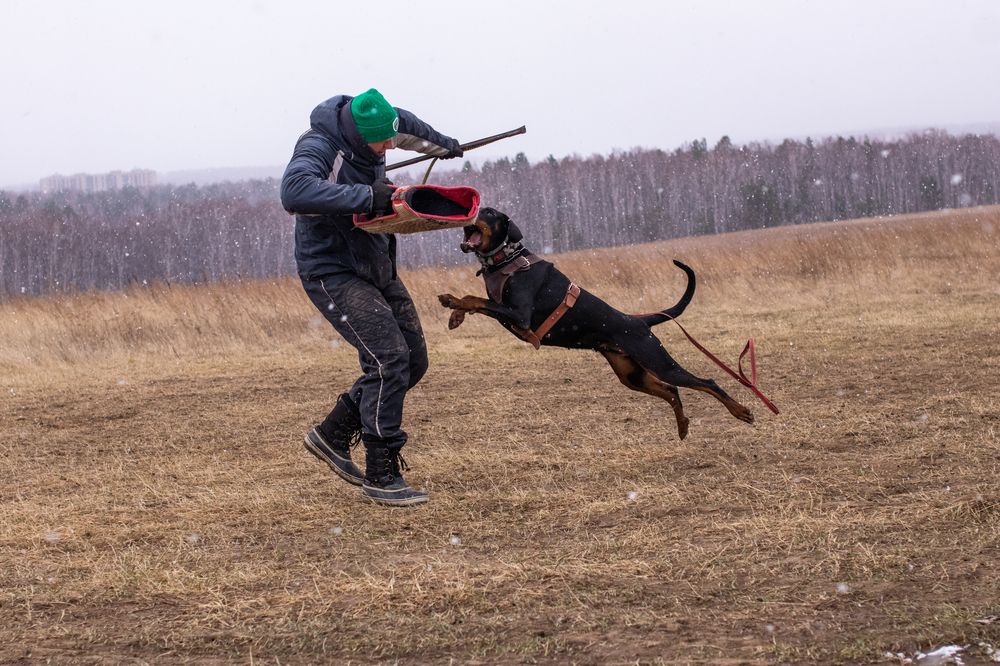 Photograph by Оля Пильвялене