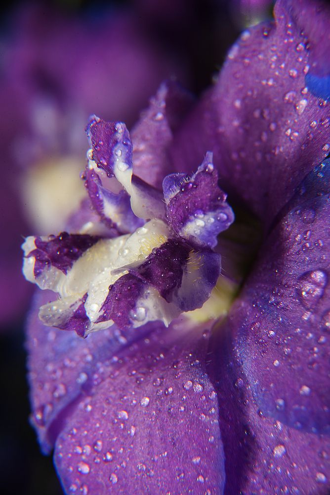 Фотография автора Андрей Неденко