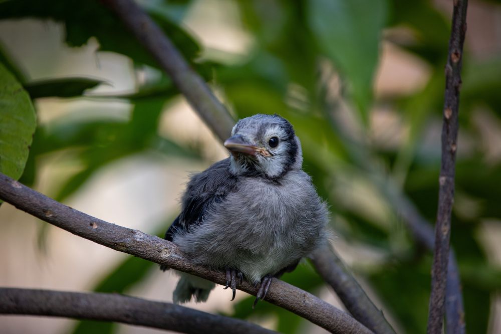 Фотография автора Татьяна Анпилова