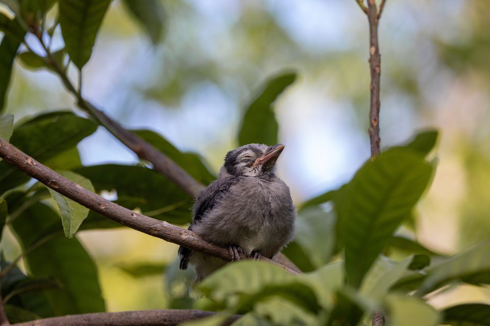 Фотография автора Татьяна Анпилова
