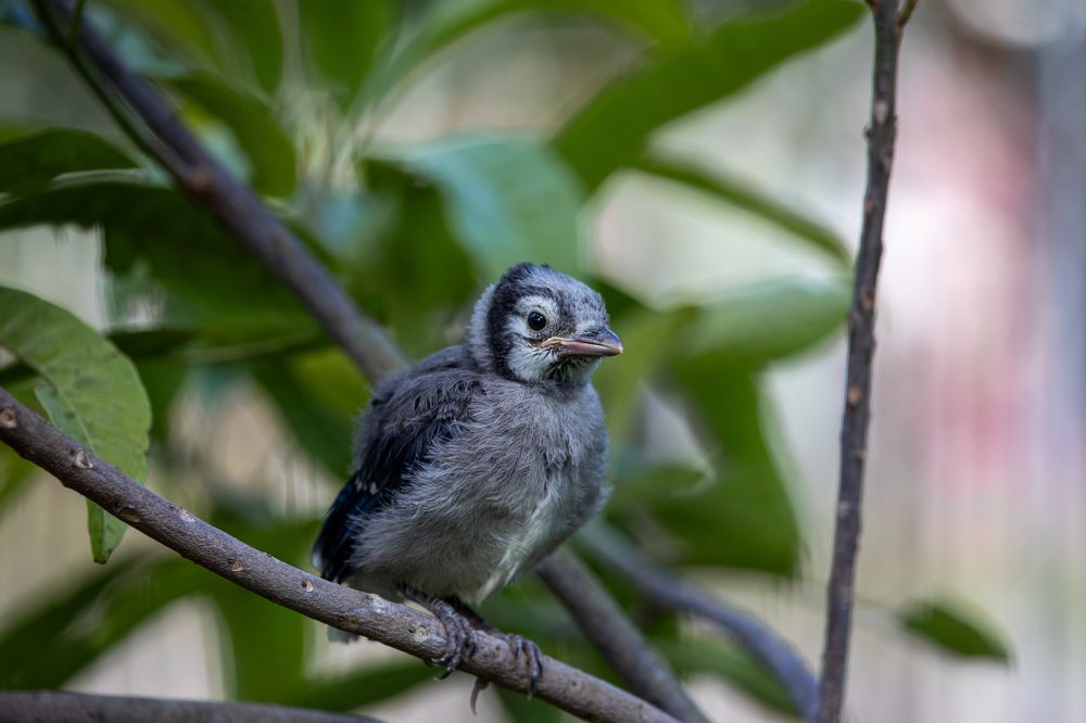 Фотография автора Татьяна Анпилова