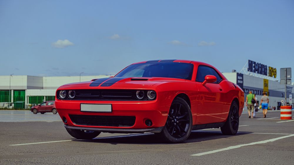 Photograph by Илья Ровинский