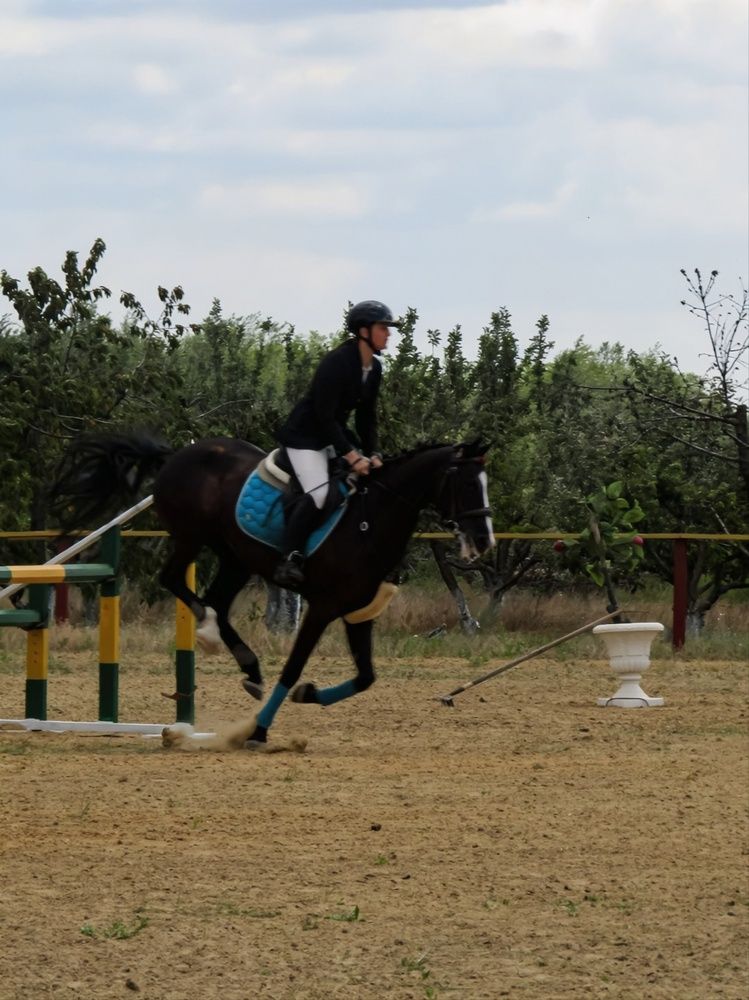 Photograph by Раиса Грабко