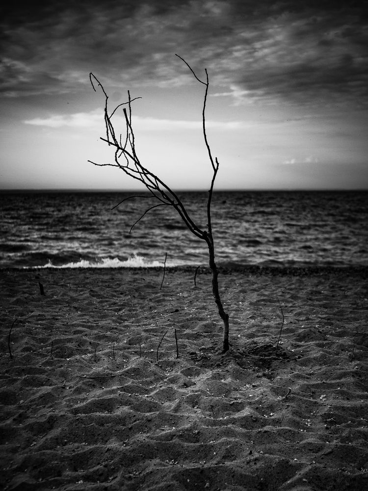 Photograph by Елена Берсенёва