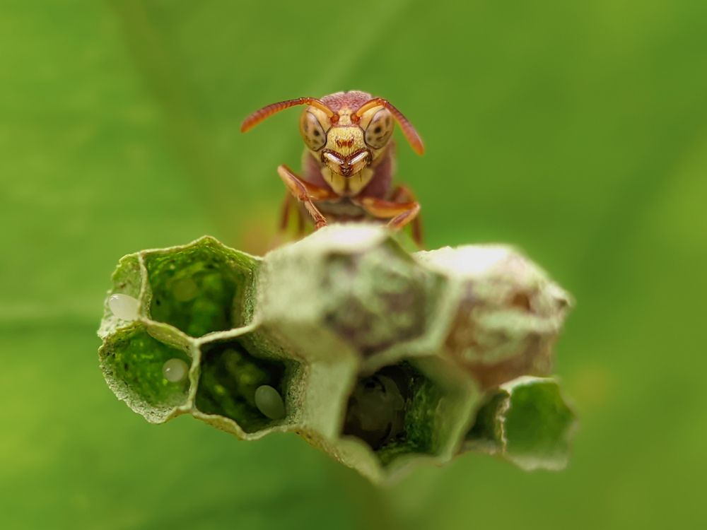 Фотография автора Md Mofizul Islam Mofizul