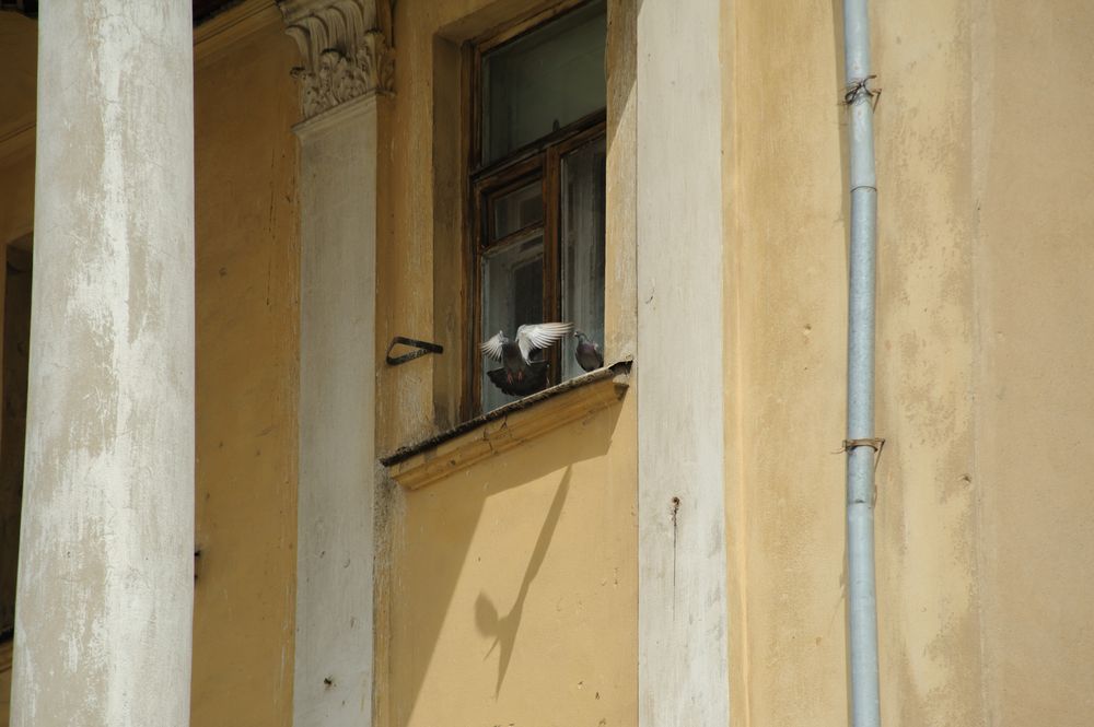 Фотография автора Тагир Должиков