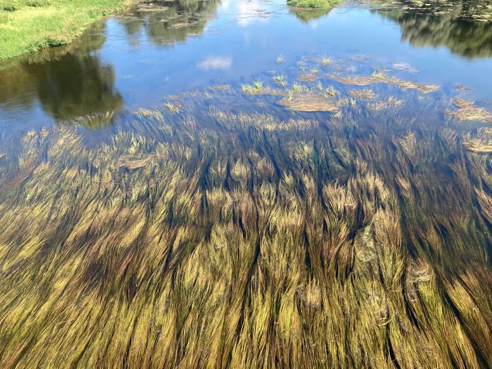 Photograph by Светлана Парамонова