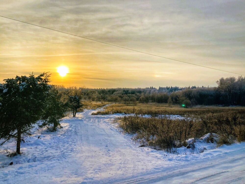 Photograph by Светлана Парамонова
