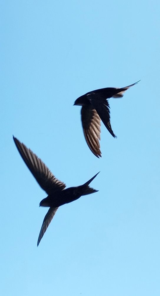 Photograph by Татьяна Кунц