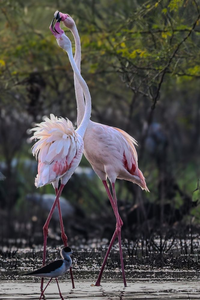 Photograph by Shalini Jain