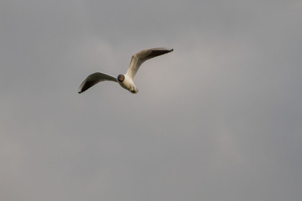 Photograph by Алина