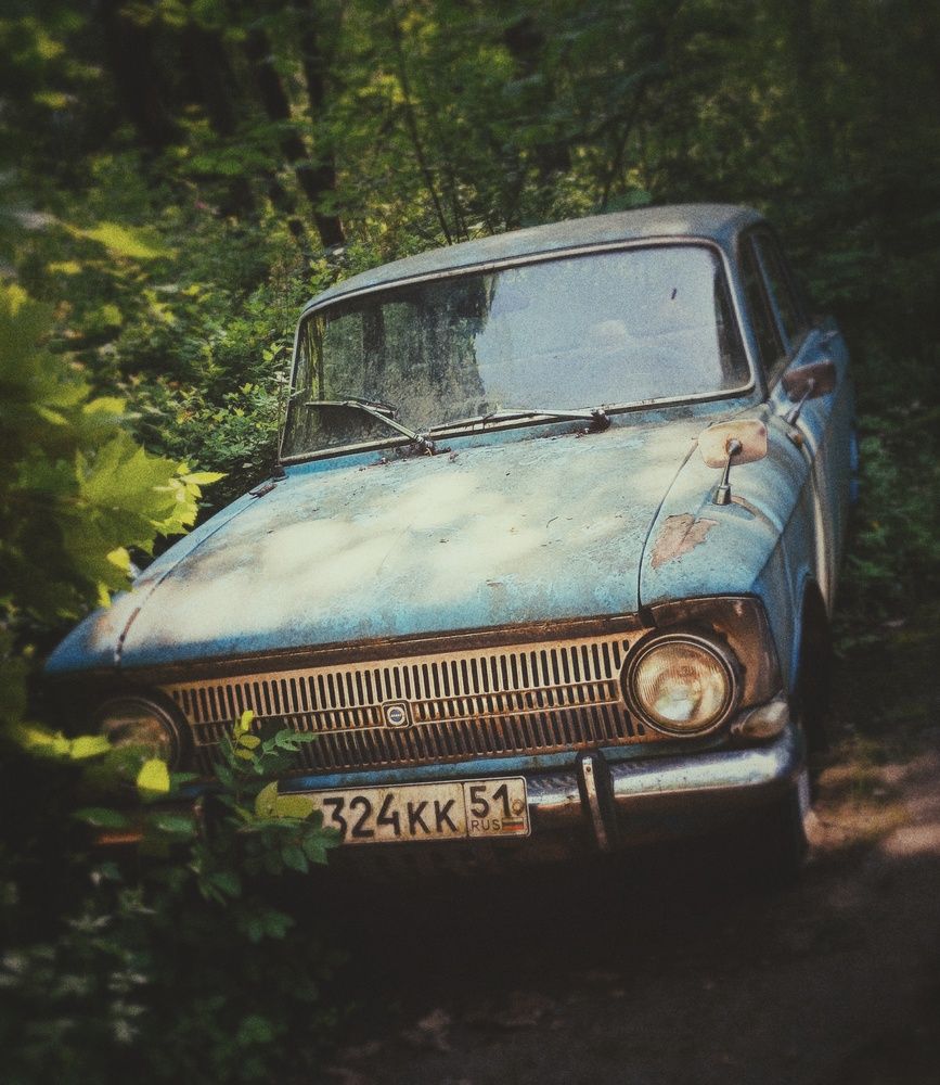 Фотография автора Valerya Vasileva