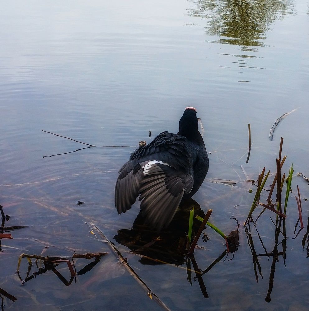 Фотография автора Valerya Vasileva