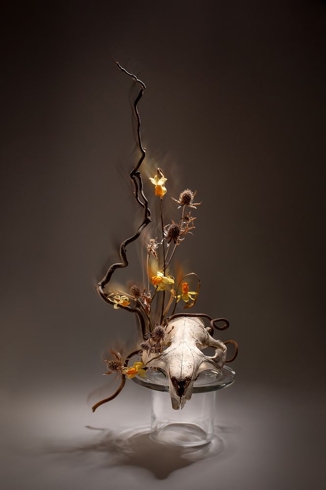 Photograph by Ольга Кузьмина