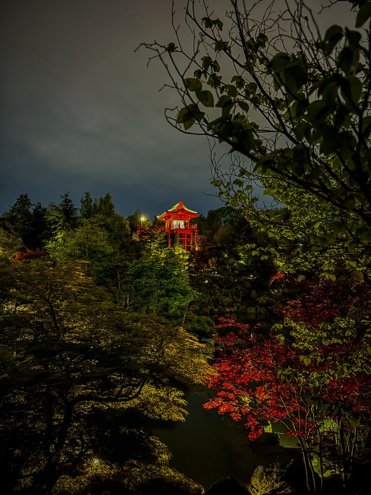 Photograph by Татьяна Шмакова