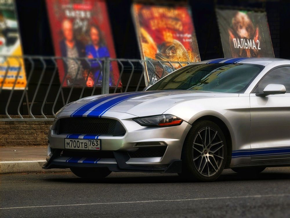 Фотография автора Olga Shchetinina