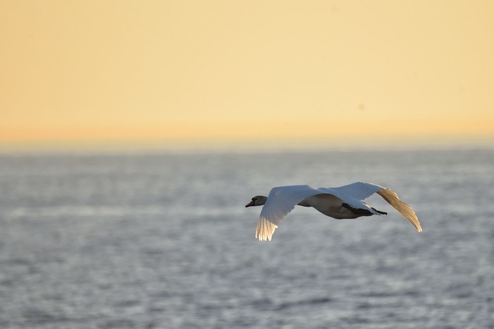 Photograph by Павел Кузнецов
