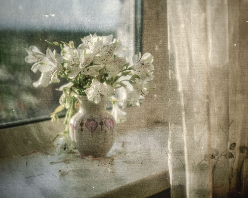 Фотография автора Viktoriya Shamanova