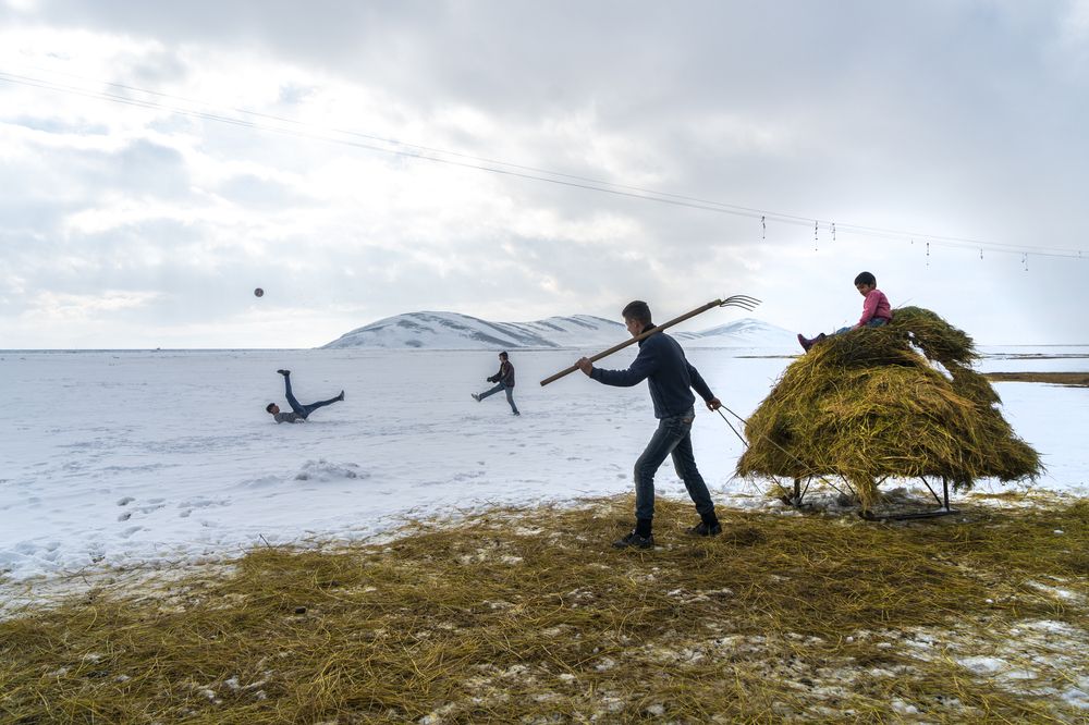 Фотография автора Fikriye Er