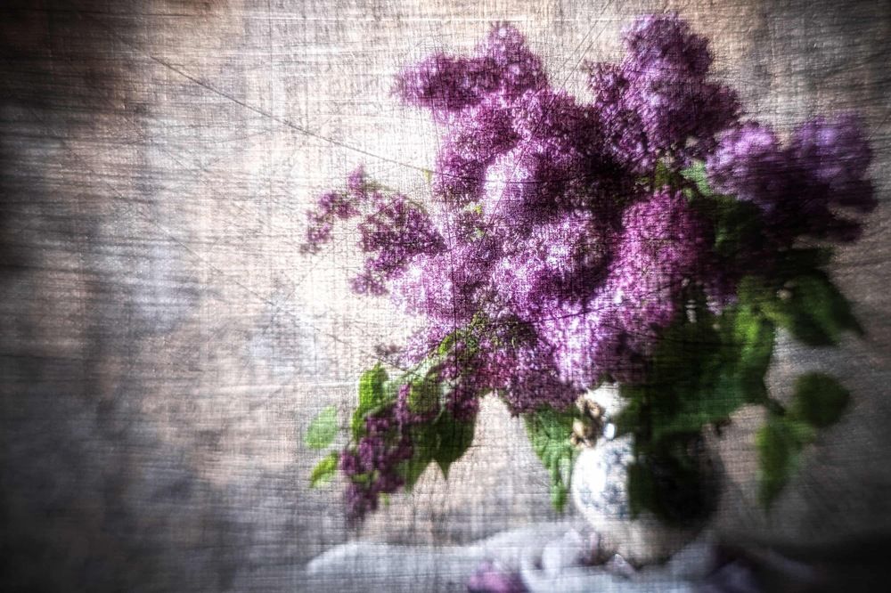 Фотография автора Viktoriya Shamanova