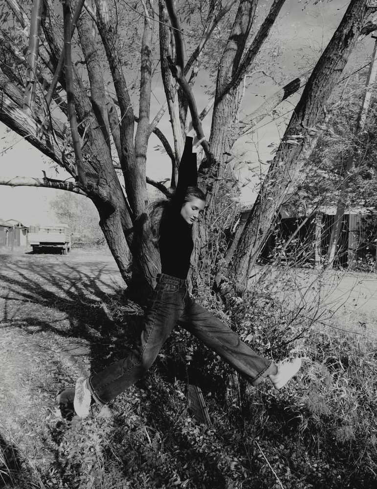 Photo #12288855