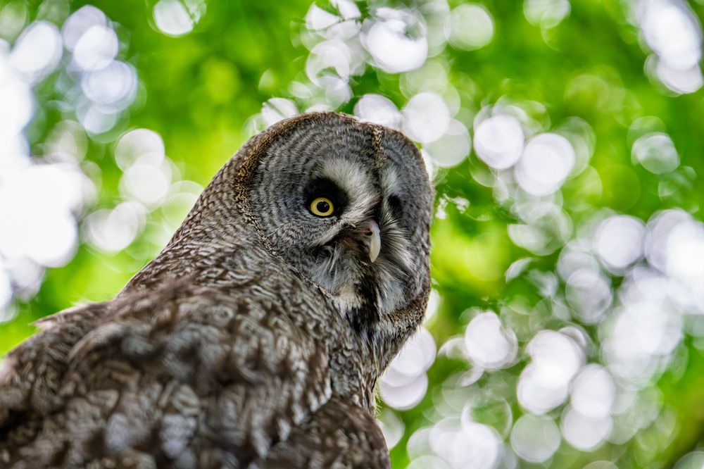 Photograph by Jakub Tulaza