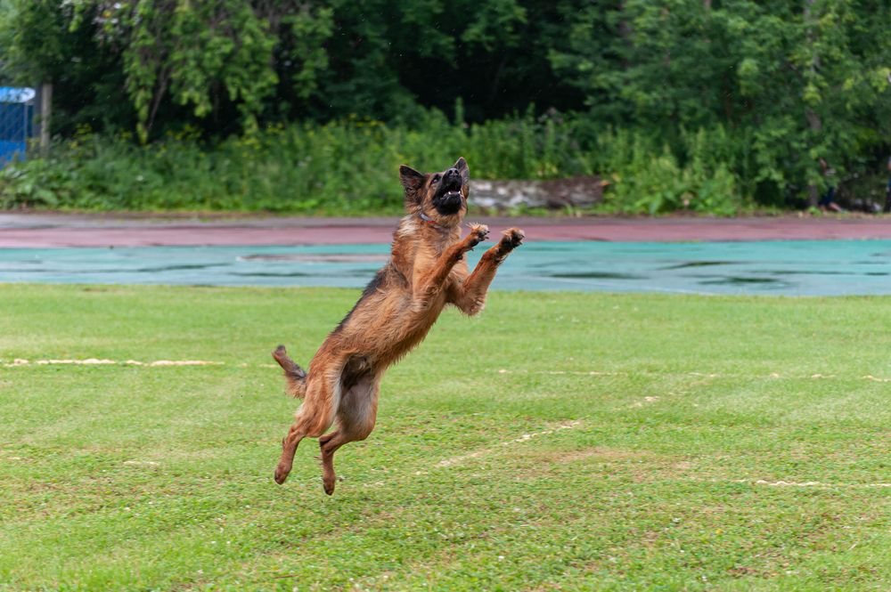 Photograph by Вадим Басов