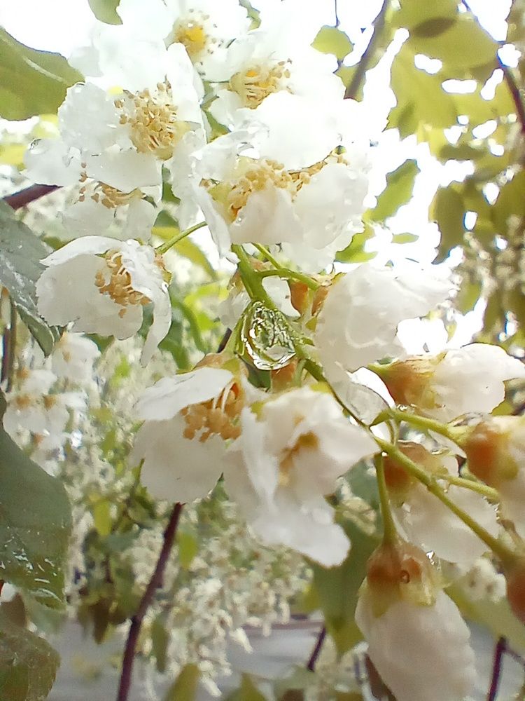 Photograph by Наталья Сырых