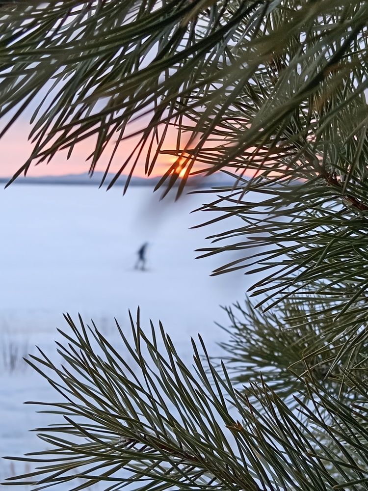 Photograph by Наталья Сырых