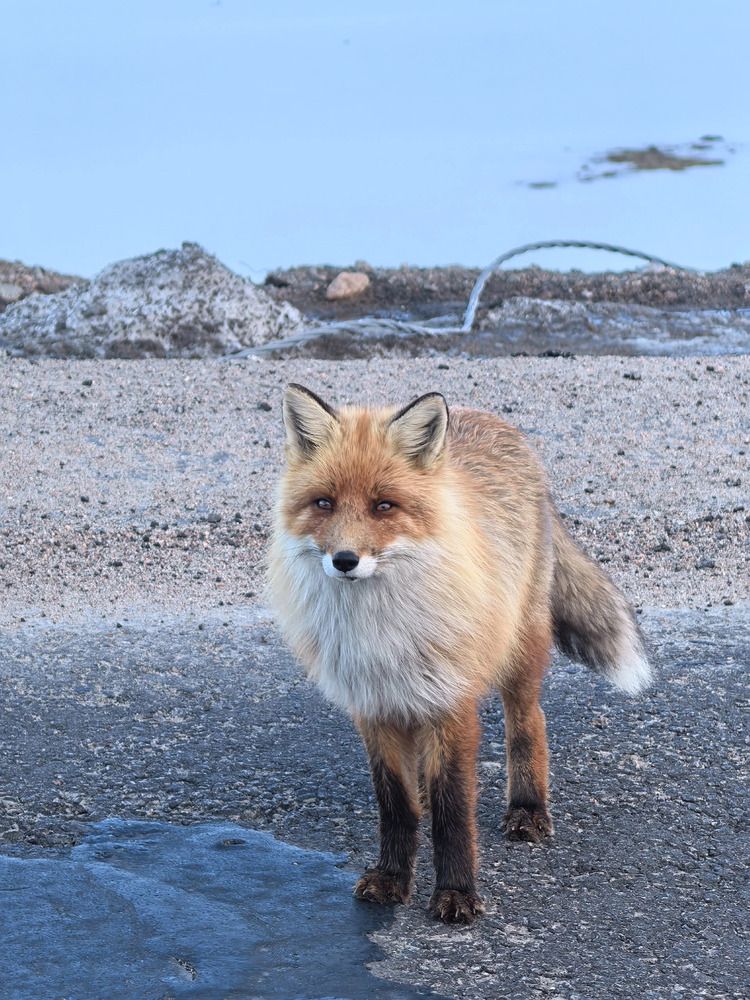 Photograph by Ольга Желтова