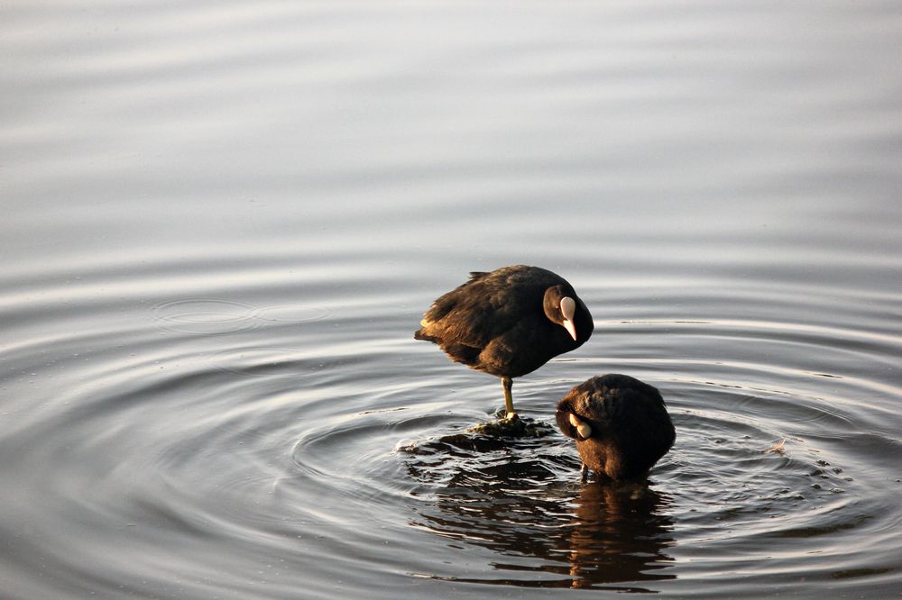 Photograph by Татьяна Сычёва