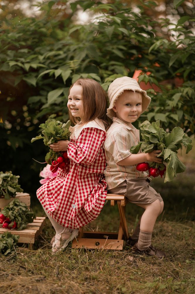 Дачные истории.