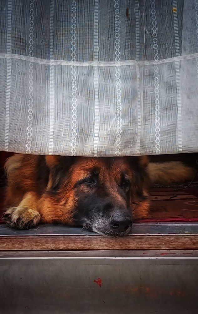 Фотография автора Демьян Стрельцов