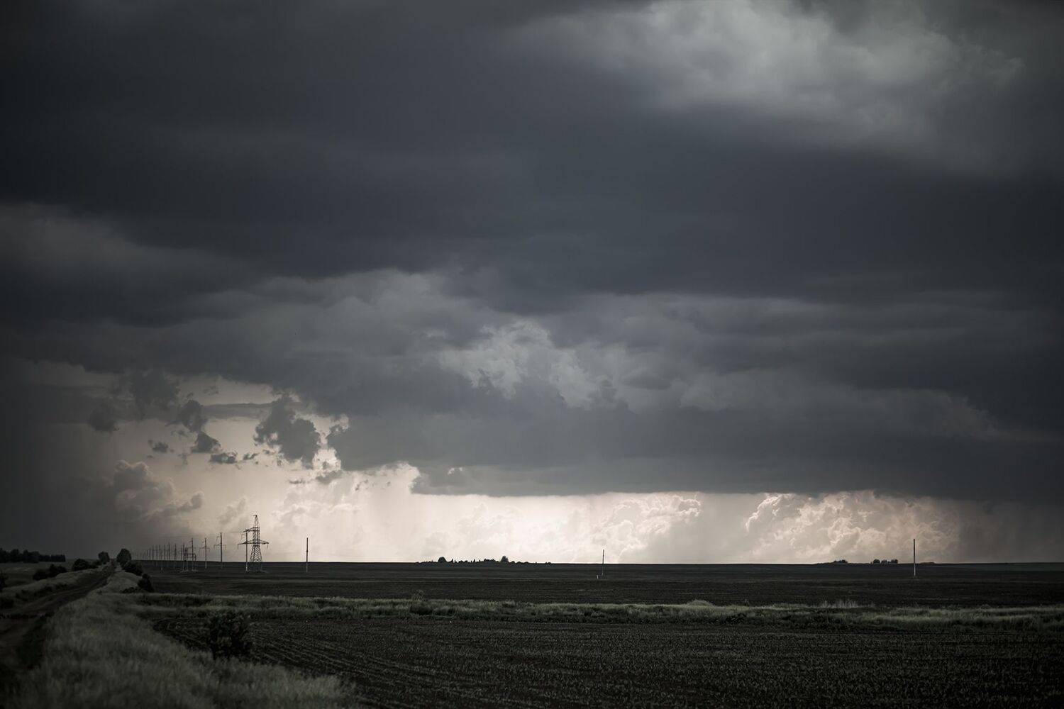 Photo #12289316