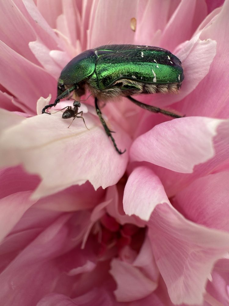 Photograph by Анастасия Германова