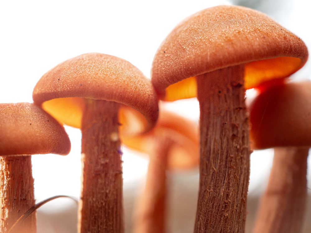 Фотография автора Camilo Rojas