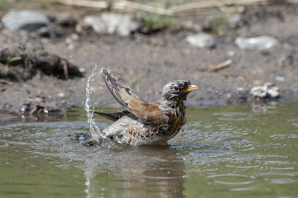 Photograph by Михаил Зубарев