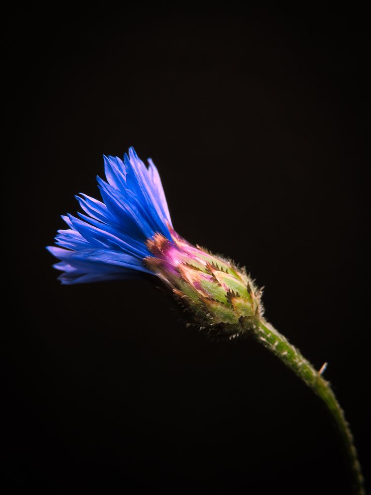 Photograph by Игорь Сухаревич