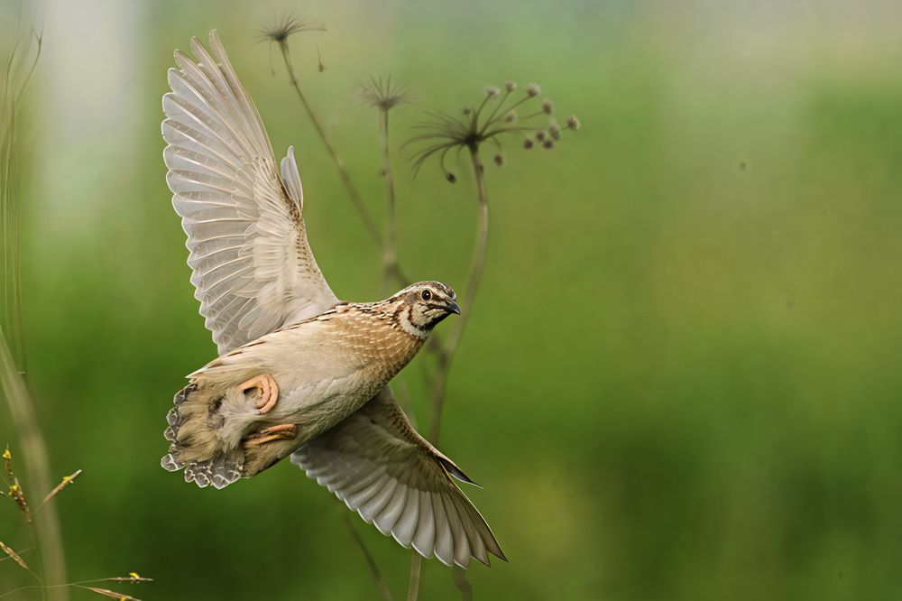 Photograph by Вячеслав Ладанов