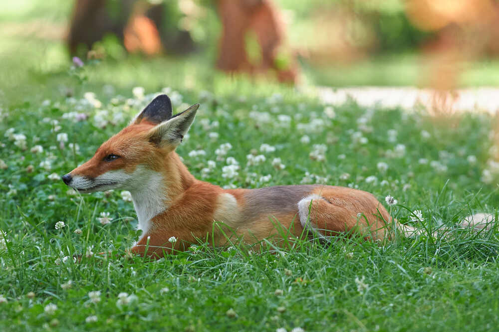 Photograph by Павел Сторчилов