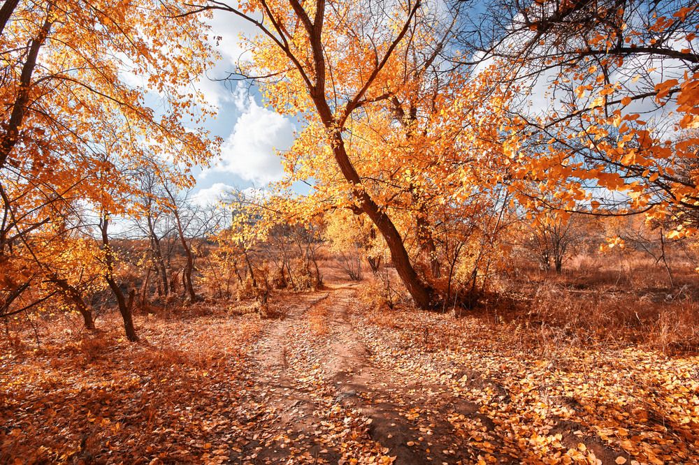 Photograph by Павел Сторчилов