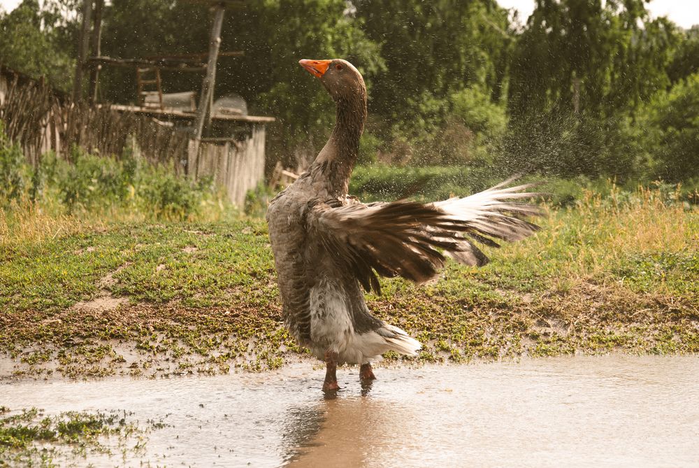Фотография автора Крутяков Арсений