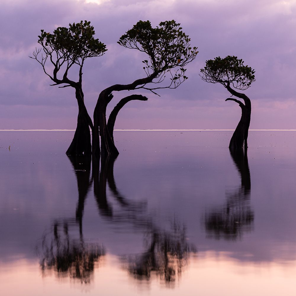 Photograph by Марина Маликова