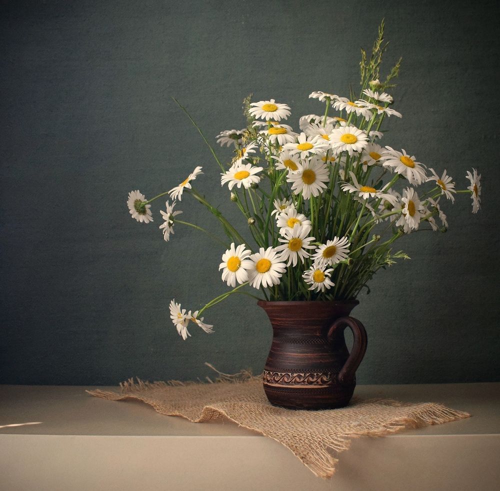 Photograph by Антонина Шабышева