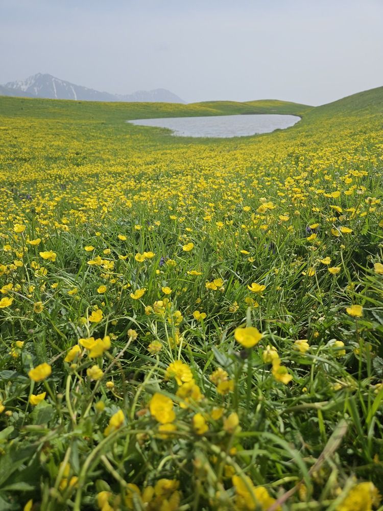 Photograph by Эльвира