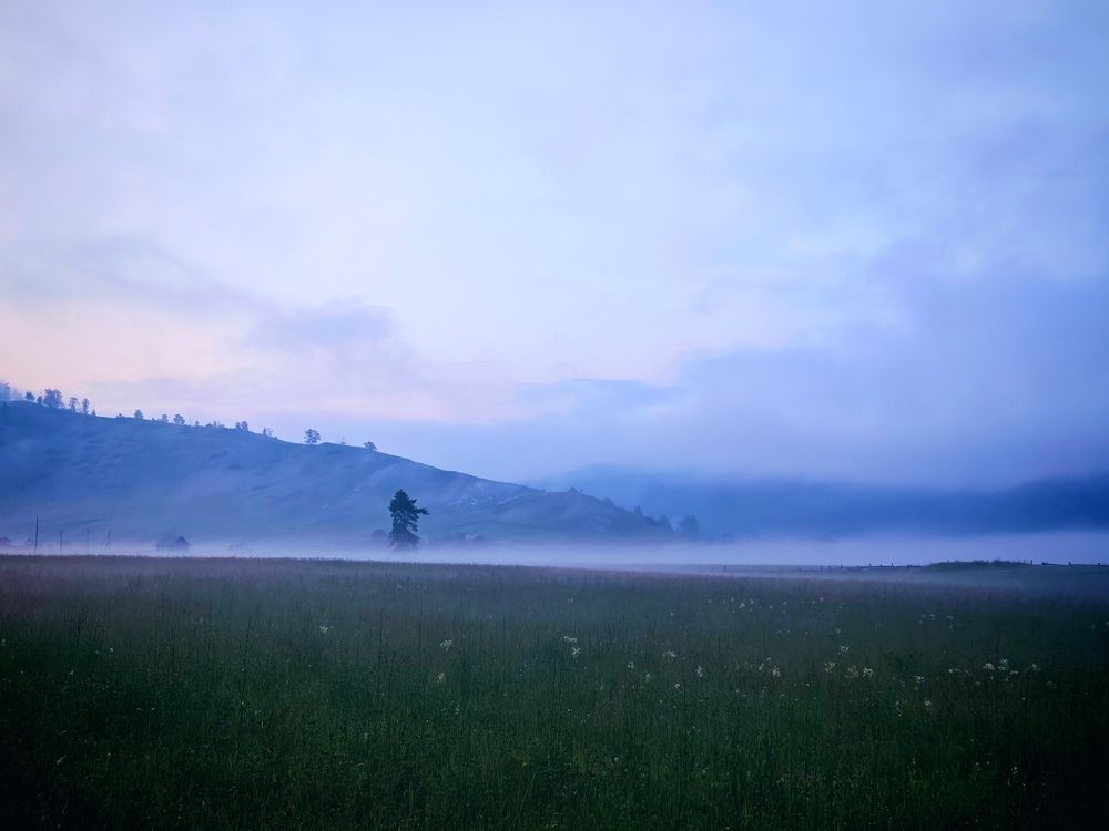 Photograph by Ирина Басырова